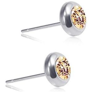 1 paar vrouwen man roestvrij/titaniumstaal veelkleurige strass Stud Earrings Stud Earrings Boy en Girl hypoallergene oor sieraden stijl