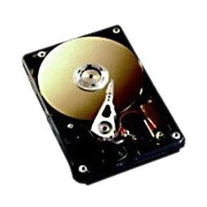 Fujitsu - S26361-F3208-L536 36GB interne harde schijf (SAS, 15000rpm, 6,4 cm (2,5 inch), hot-swap)