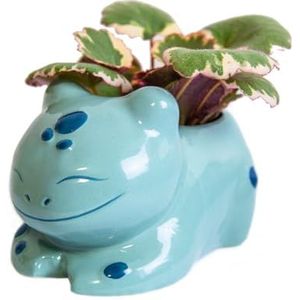 Oaahaf Handgemaakte keramische bloempot, met ruimte voor onderpot, diameter 6 cm, geschikt voor cactussen, mini-planten, vetplanten, grote, schattige en handbeschilderde plantenpot/sierpot