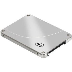 Intel SSDSA1NW080G301 SSD-harde schijf, 80 GB, zilverkleurig