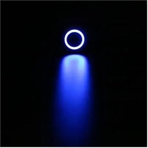 Momentane waterdichte metalen knop schakelaar met ronde kop 16 mm hoog, LED-licht, auto resetschakelaar, zelfherstellend (kleur: blauw, maat: 220V)