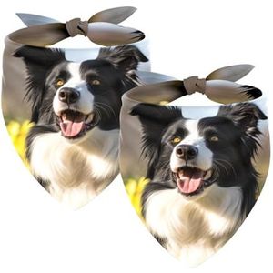 Hond Bandanas, Bruiloft Foto Prop, Vierkante Slabbetjes Huisdier Accessoires, 2-Stk, Border Collie Hond Buiten, Hond Sjaal