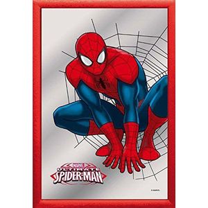 empireposter Spiderman Web, Squat - afmetingen (cm), ca. 20x30 - bedrukte spiegel, NIEUW - beschrijving: - Bedrukte wandspiegel met rood kunststof frame in houtlook -