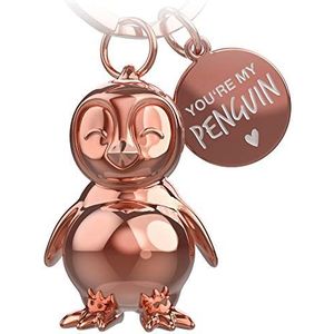 Schattige Pinguïn Knuffelen Met Beer Cartoon Vector Illustratie Dier Icon 692962 38