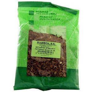 Plameca Ortosifon Stamineus zak 50 g 50 g