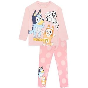 Bluey Outfit | Meisjeskleding Set | Meisjes Outfits En Kleding Sets | Meisjes Leggings En Top Met Lange Mouwen | Rosa 110