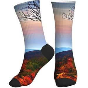 PPHGUT Blue Ridge Mountains Print Volwassenen Mid Tube Sokken Ademend Sport Running Gym Training Jogging Activiteiten, 2 Zwart-2, One size