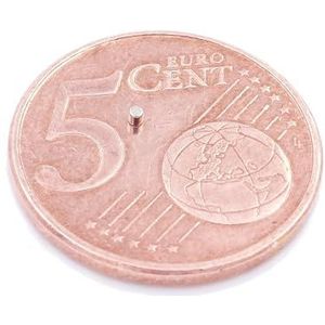 A4 magnetische bordhouder, Gocoffun 10 stuks, zelfklevend, magnetisch display, waterdicht, helder display voor thuis, school, winkel, opmerking, Pictrue displayframe (zilver
