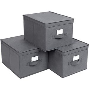 SONGMICS Vouwdoos met deksel, 3 stuks, Opvouwbare opbergdoos, stoffen doos, 40 x 30 x 25 cm, grijs RFB03G