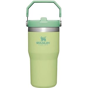 STANLEY IceFlow™ Flip Straw Tumbler 20 oz Citron