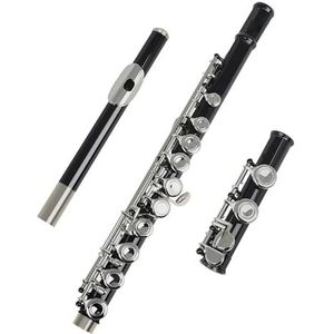Fluit 16-gaats gesloten gat fluit C-sleutel Professionele zilveren fluit Muziekinstrument Fluitkoffer Zorg Stok Handschoenen Accessoires (Color : BK)