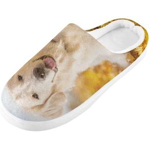 YOUJUNER Pantoffels van traagschuim voor dames, mooie golden retriever hond dames huispantoffels zachte warme gezellige instappers voor dames en heren, Meerkleurig, 9/10 UK Men/ 10/11 UK Women