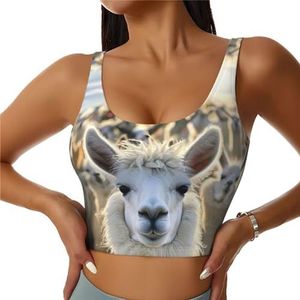 SABFWF Schattige lama print yoga bh's, hoge impact ondersteuning, lang ontwerp, voor fitness, hardlopen en meer, Zwart, S