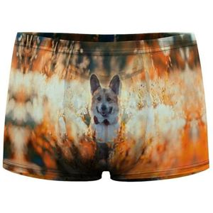 Corgi Rode Vlinder Zit op Sunny Meadow Heren Boxer Slips Sexy Shorts Mesh Boxers Ondergoed Ademend Onderbroek Thong