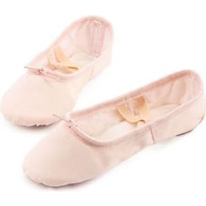 Meisjesballetschoenen voor dames, ballerinaschoenen, ballerina's, dames, canvas, zachte zool, dansschoenen, kinderen, oefendansschoenen (vlees vastbinden, 45 (26,5 cm)