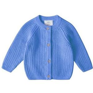 Stellou & friends Gebreid vest voor meisjes en jongens, hoogwaardige babykleding van 100% katoen, I V, hemelsblauw, 74/80 cm