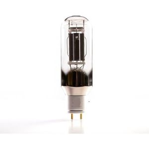 845-DG 845DG 845 buis-audio-upgrade 845 buis-audioversterker (2 stuks)