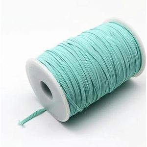 100 yards 3,0 mm kleur elastische band nylon siliconen elastische rubberen band thuis DIY kant decoratieve naairiem kledingaccessoires-lichtgroen 3,0 mm 5 m