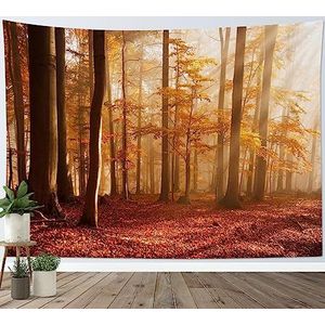 56 Muur Opknoping Herfst Misty Met Zonneschijn En Grote Esdoorn Gevallen Bladeren Natuur Landschap Tapijt Esthetische Wandtapijten Grappige Decoratie Tapijt Voor Slaapkamer Familie Woonkamer 130x152cm