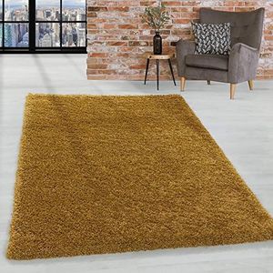 Tapijt Lange stapel ruig Gewoon ontwerp Woonkamer 30 mm poolhoogte Pluizig Zacht Rechthoekig Rond Lopers, kleur:Goud, Groote:160x230 cm