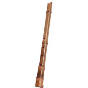 bamboe fluit Dwarse Zoete Fluit Professionele Bamboe Houten Fluit Piccolo 5 Gat Traditionele Muziekinstrumenten (Color : G tune)