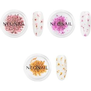 NÉONAIL Nail Art Set - Droogbloemen - Gedroogde Bloemen - Nagelbloemen - Nageldecoraties - Nagelkunst - Nail Art Sticker - Manicure Decor - Bloemdecoratie - 3 Kleuren - Roze, Paars, Oranje
