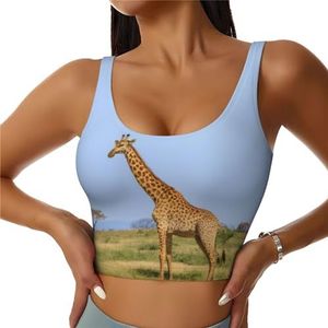 Grappige kikkers - Crop Tops voor Vrouwen Sportbeha U-rug Verwijderbare Gewatteerde Crop Workout Tank Top met Ingebouwde BH's, Slim Fit Mouwloze Atletische Vesten, Giraffe onder de boom in Afrika, S
