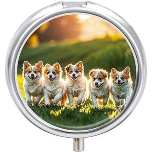 Ronde pillendoos 3 compartimenten draagbare medicijnpillendoos één maat pillendoos voor zakpillenorganisator en vitaminecontainers voor reizen