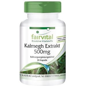 Fairvital | Kalmegh Extract 500 mg - 90 capsules 5 maal geconcentreerd Kalmegh bladextract - voor 3 maanden - geteste kwaliteit en hoge dosering - 100% veganistisch - Made in Germany
