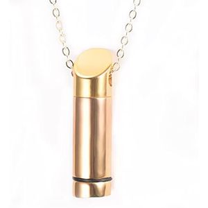 SASHUN XLIAN326 Aangepaste Roestvrij Staal Crematie Sieraden Voor As Urn Ketting Hanger Voor Mannen Mannelijke Hip Hop Geschenken Memorial Ash Sieraden Huisdier Memorial (Metalen kleur: Goud niet graveren)