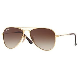 Ray-Ban Unisex 0rj9506s 223/13 52 brilmontuur, goud (goud/bruin gradient), goud (goud/bruin gradient), 52