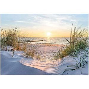 WallArena - Fotobehang - Strand - 3D - Noordzee - Duinen - Panorama - 368 x 254 cm - Vliesbehang
