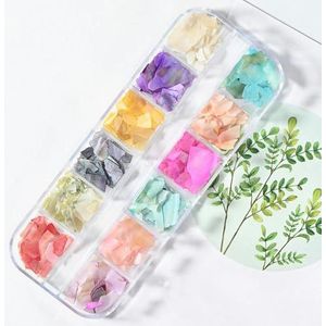 Natuurlijke Abalone Zeeschelp Steen Nail Art Decoratie Aurora 3D Onregelmatige Slice Fragmenten Vlokken Voor Nagel Nagels Charms-PH029