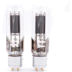 WE845-PLUS 845 buisversterker