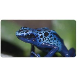 Camouflage Blauwe Kikkers Mode Bureau Muismat Antislip Gaming Muismat Accessoires Decor 30x60cm