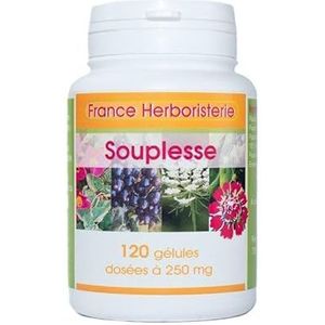 SOUPLESSE ARTICULAIRE 120 gélules 260 mg Poudre Pure