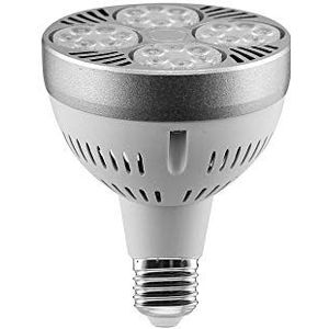 LED-lamp 35W PAR30 E27 2700lm