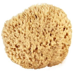 Sea Wool Sponge 6-7 (X-Large) van Bath & Shower Express Natural Renewable Resource! by Bath & Shower Express
