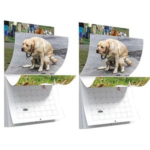 Kalender 2024 Wandkalender | Pooping Dogs Calendar 2024 | Hond Pooping Wandkalender | Grappige honden met mooie plaatsen kalender voor 2023 | maandelijkse wandkalender gladde wandkalender