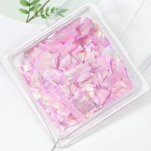 Natuurlijke Abalone Zeeschelp Steen Nail Art Decoratie Aurora 3D Onregelmatige Slice Fragmenten Vlokken Voor Nagel Nagels Charms-PT189-02