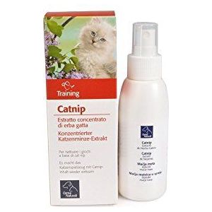 Camon Orme Natural Catnip fles - 240 g