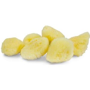 Neptune Natural Zee Zachte Zijde Spons - voor Kosmetisch Gebruik, Gezichtsreiniging 6pk, 1-2 inch