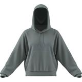 adidas Mujer ESSENTIALS BIG LOGO FRENCH TERRY LOOSE HOODIE, Wonder Sage, L