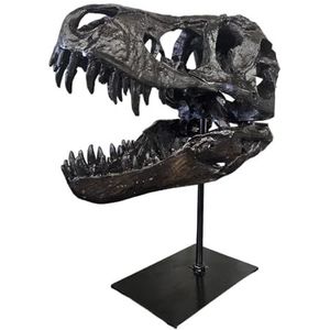 T-Rex Schedel XXL op Metalen Standaard - Replica - Tyrannosaurus Rex - Dinosaurus - Fossiel - Luxe decoratie - 30x25 cm
