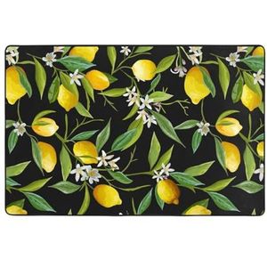 TROONZ Tapijt voor binnen, antislip vloermatten voor binneningang, ondertapijt voor het buitenterras 120 x 182 cm, citroen- en bloemenprint
