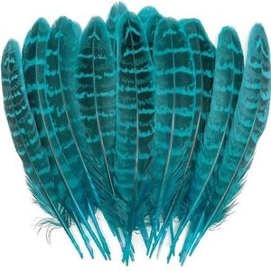 20 stuks vleugels van engel grote veren fazant kip pluimen carnaval hoofdtooi diy bruiloft decor ambachten accessoires en materialen-meer blauwe veren-20 stu