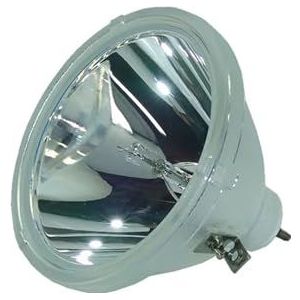 Lamp R9842020 for R764225 R9842440 CDG67 DL CDG80-DL CDR+67 DL CDR+80-DL CDR67-DL D1 FD70-DL