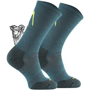 TODO BP Merino Wandelsokken voor heren, dames en kinderen, trekkingsokken van merinowol, ademend, anti-blaren, geproduceerd in de EU, Petrolio, 35-38 EU