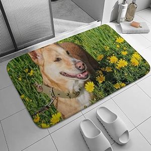 Agriism Laagpolige tapijten, kleine matten, bruine hond gele bloemen flanellen mat, antislip, absorberend vuilwater, duurzame voordeurmat voor buiten, 71 x 60 cm