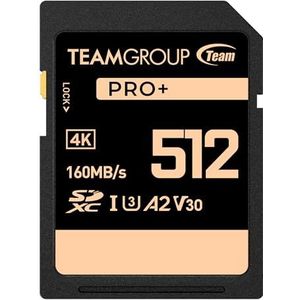 TEAMGROUP PRO 512 GB UHS-I U3 A2 V30 4K UHD Lees-/schrijfsnelheid tot 160/120MB/s SDXC-geheugenkaart voor professionele vloggers, filmmakers, fotografen en contentcuratoren TPPSDX512GIA2V3001